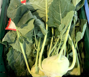 Kohlrabi 3 Stck