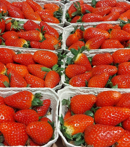 Erdbeeren Kl. I 500g