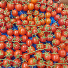 Lade das Bild in den Galerie-Viewer, Cherry Tomaten 500 gr.
