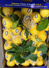 Lade das Bild in den Galerie-Viewer, Bio Zitronen aus Italien 3 Stück

