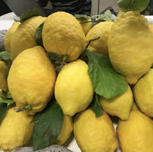 Lade das Bild in den Galerie-Viewer, Bio Zitronen aus Italien 3 Stück
