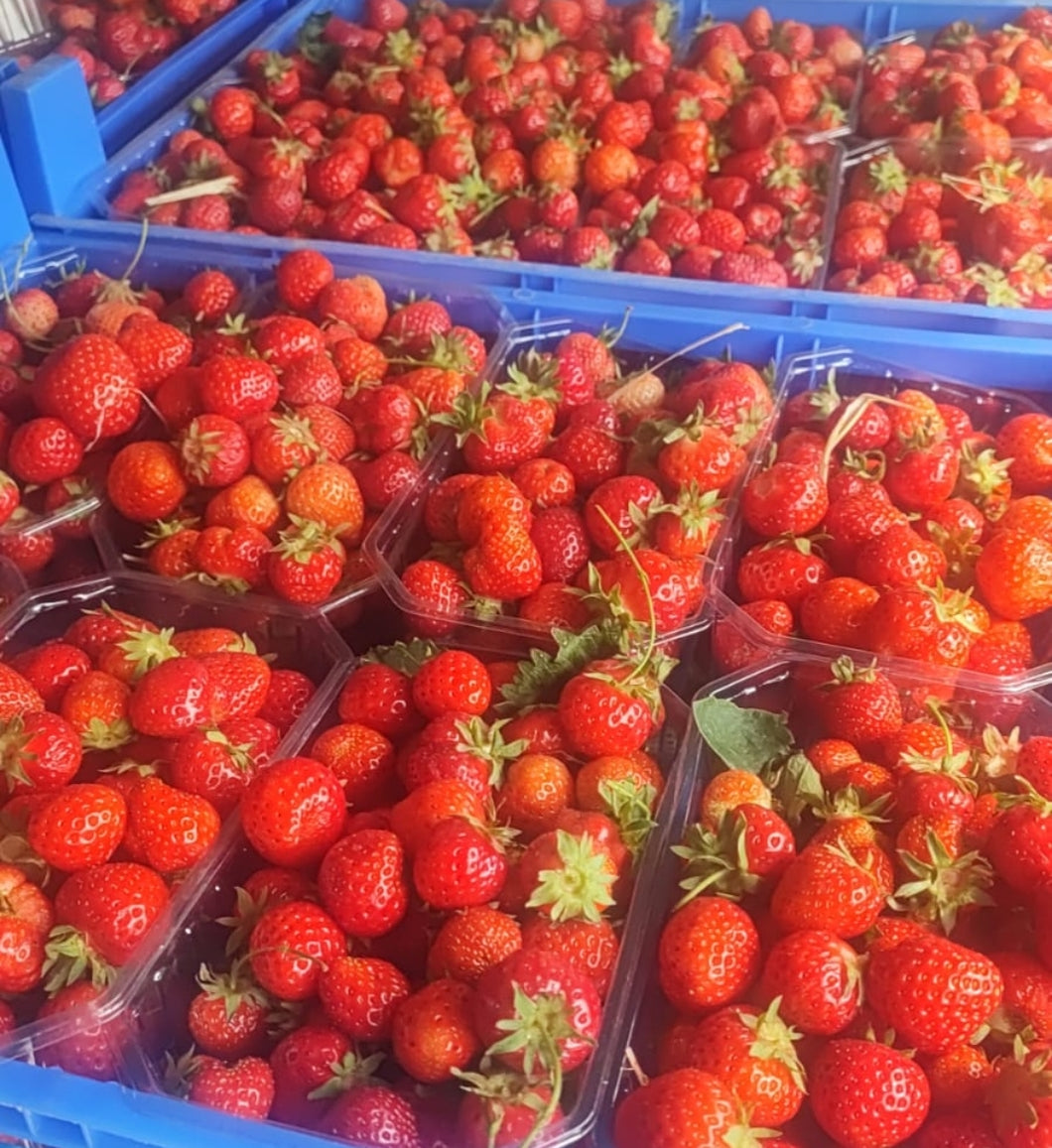 Erdbeeren 3 Schalen