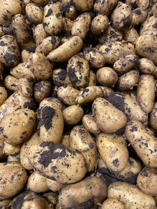 Neue Ernte Pfälzer Kartoffeln 2,5kg