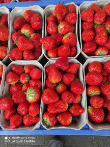 Erdbeeren Freiland 3 Schalen 1,5 kg