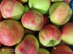 Grafschafer Äpfel Elstar süß/ sauer 1 kg.