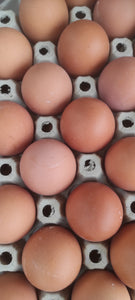30 Stck. Freiland Eier braun