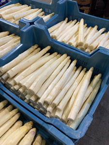 Spargel Weiss mittlere Stärke   5 Kg lose.