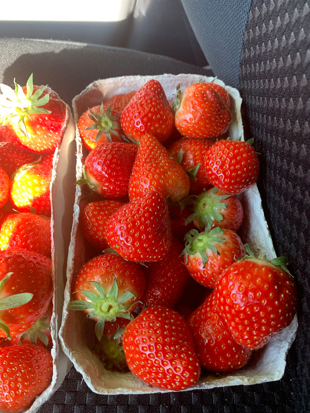 Erdbeeren 500 gr. Treibhaus Deutschland