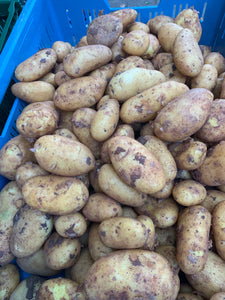 Sieglinde Kartoffeln Neue Ernte